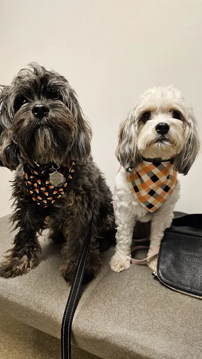 Animal Medical Center Picture 9