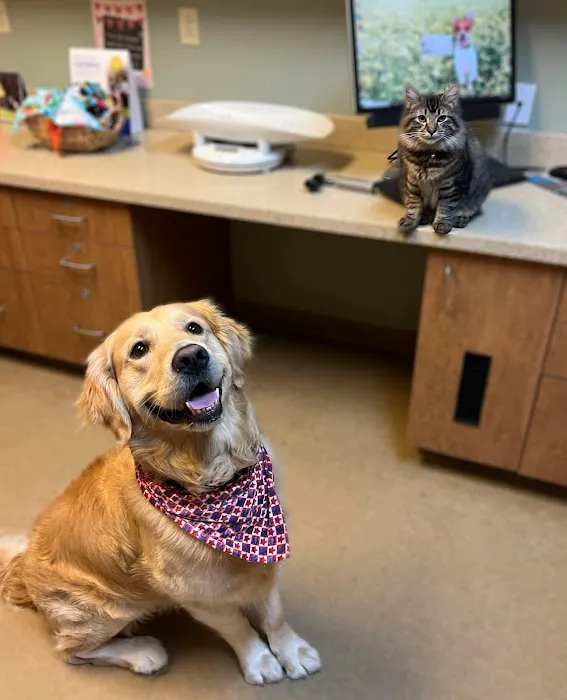 Hillcrest Veterinary Clinic Picture 3