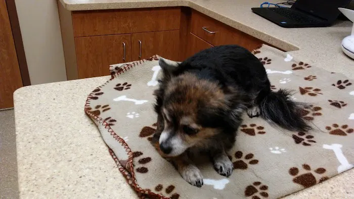 Hillcrest Veterinary Clinic Picture 4