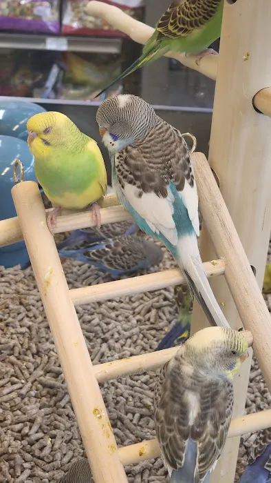 Petco Picture 1