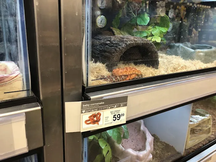 Petco Picture 7