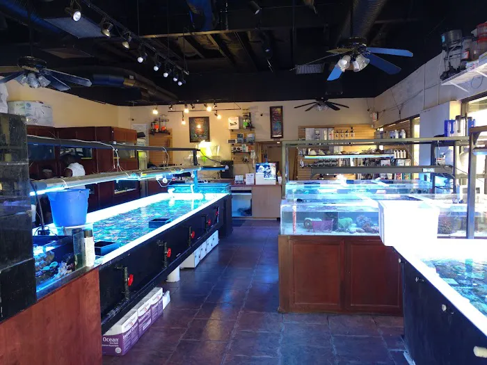 Fishy Bizness Picture 8