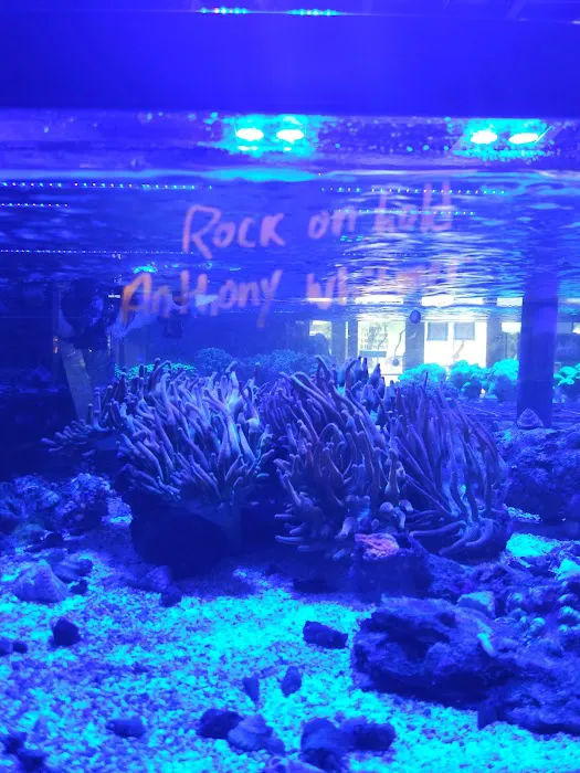 Fishy Bizness Picture 7