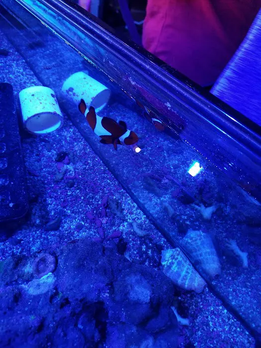 Fishy Bizness Picture 9