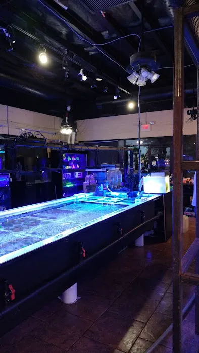 Fishy Bizness Picture 5