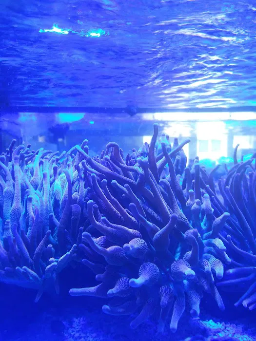 Fishy Bizness Picture 4