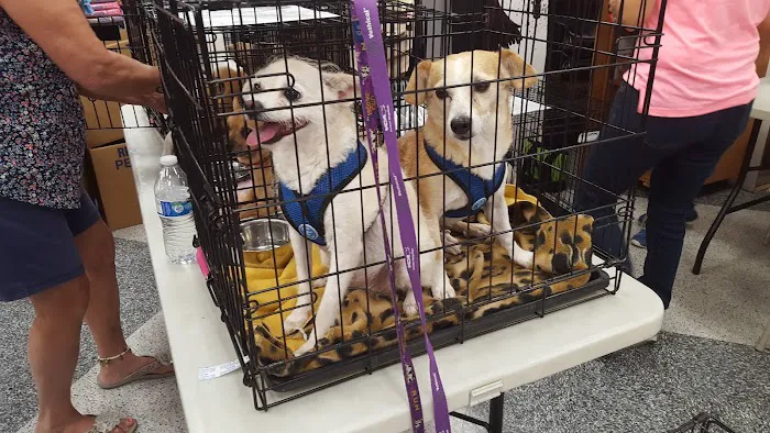 Petco Picture 4