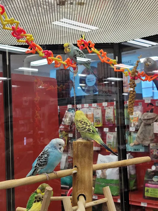 Petco Picture 5