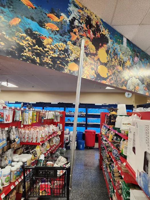 Petco Picture 6