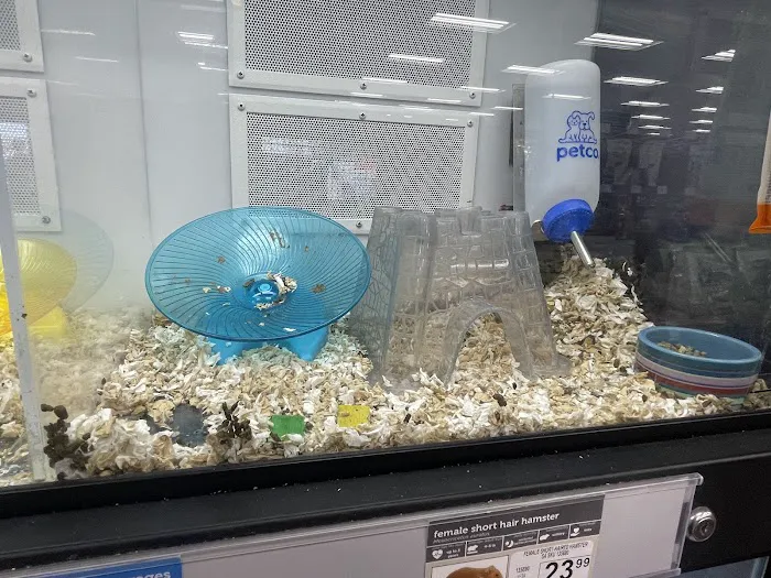 Petco Picture 10