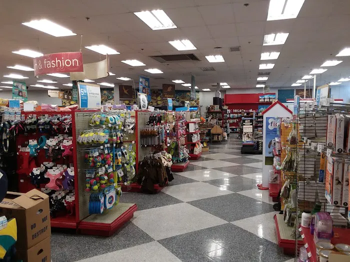 Petco Picture 7