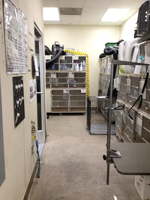 Petco Picture 10