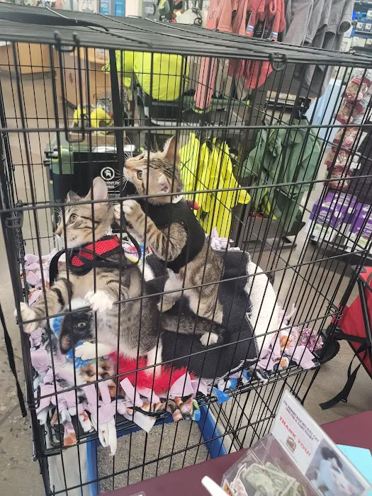 Petco Picture 4