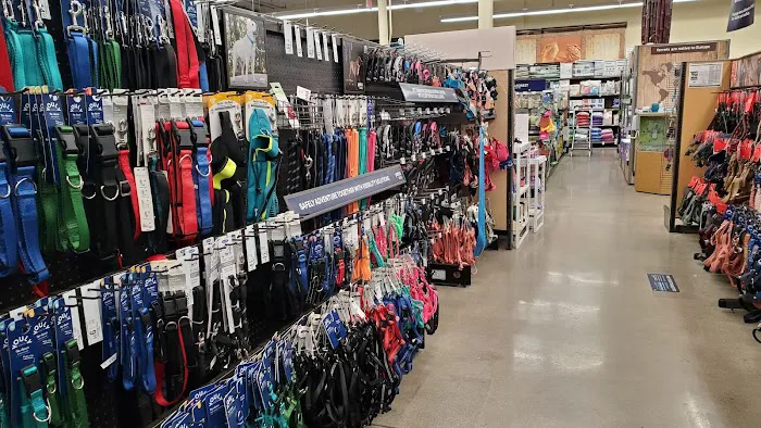 Petco Picture 2