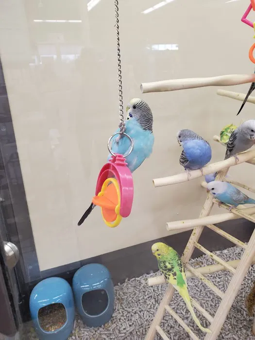 Petco Picture 5