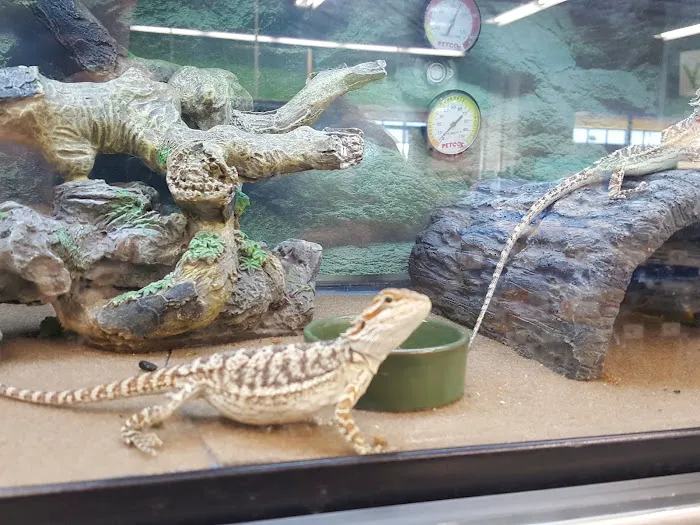 Petco Picture 6