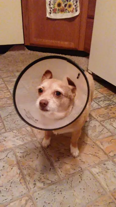 Fayette Veterinary Hospital Picture 2