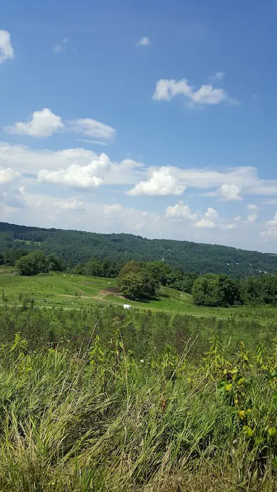 Fayette Veterinary Hospital Picture 3