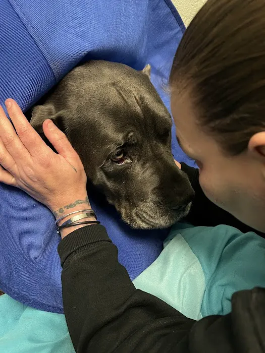 Fayette Veterinary Hospital Picture 7
