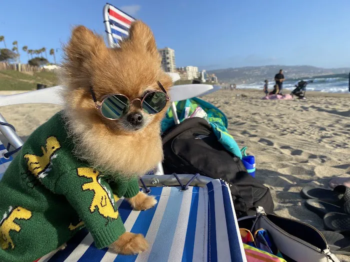 Peanut's Clawset Picture 1