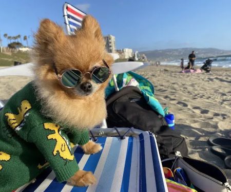 Peanut's Clawset