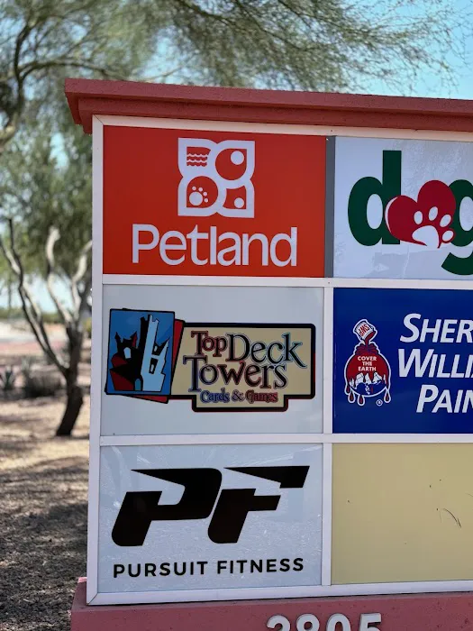 Petland Tucson Picture 7