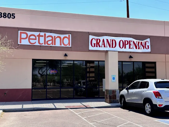 Petland Tucson Picture 8