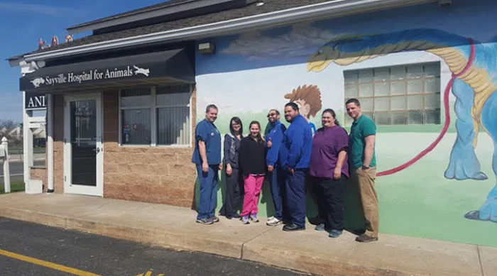 Sayville Animal Hospital Picture 9
