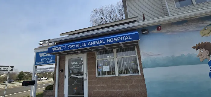 Sayville Animal Hospital Picture 2