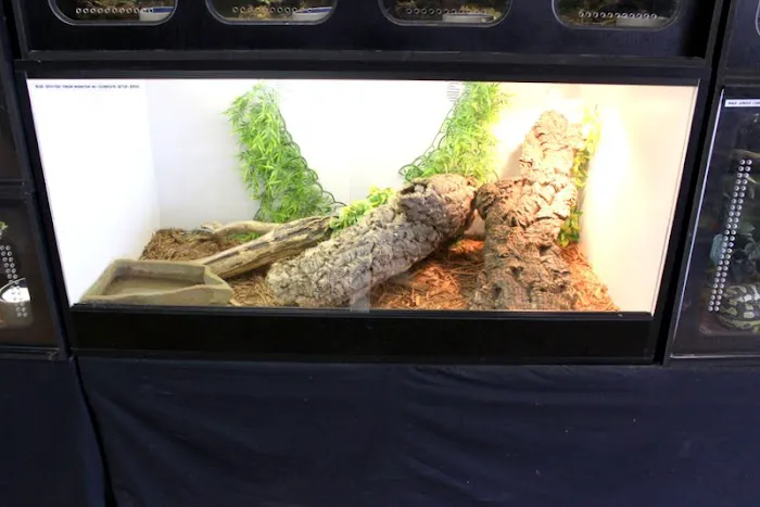 Ever Evolving Exotics Picture 9