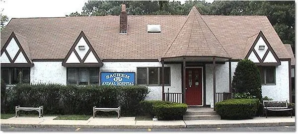 Sachem Animal Hospital Picture 1
