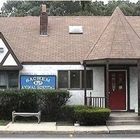Sachem Animal Hospital ico