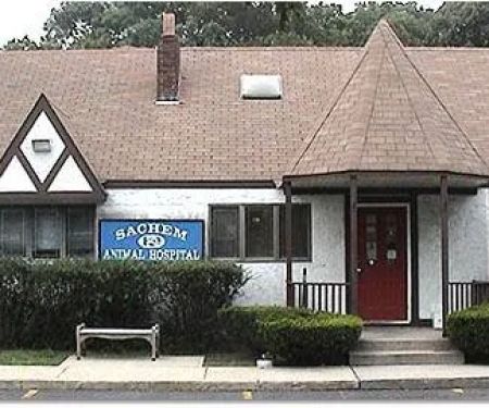 Sachem Animal Hospital