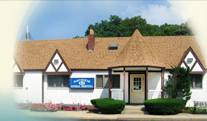 Sachem Animal Hospital Picture 10