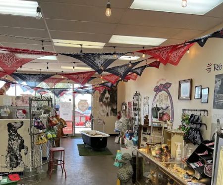 Rosie's Barket DIY Dog Wash OV
