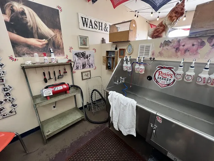 Rosie's Barket DIY Dog Wash OV Picture 3