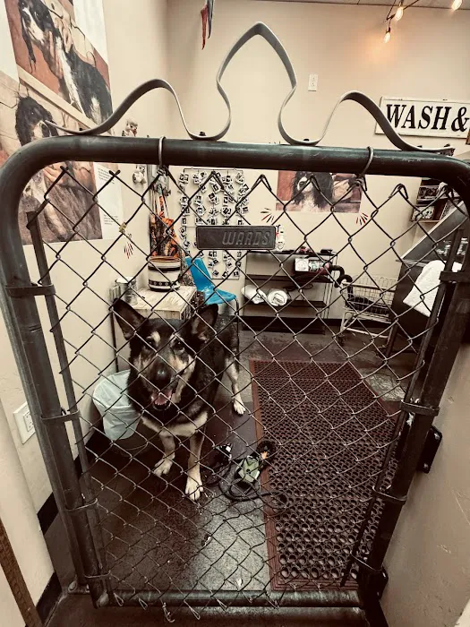 Rosie's Barket DIY Dog Wash OV Picture 2