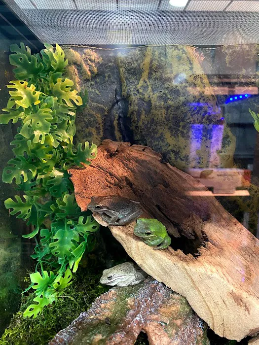 Cold Blooded Exotics Picture 10