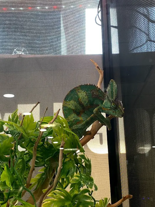 Cold Blooded Exotics Picture 5