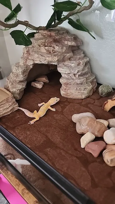 Cold Blooded Exotics Picture 1
