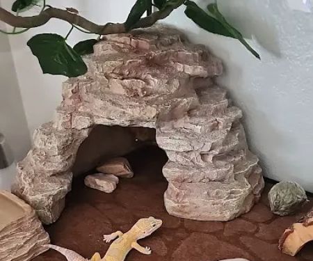 Cold Blooded Exotics