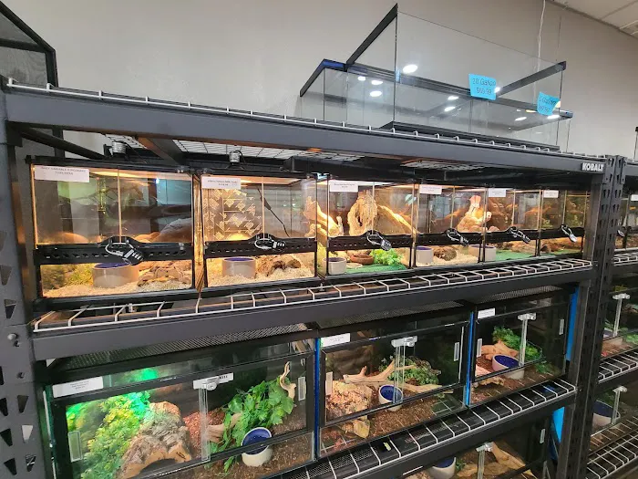 Cold Blooded Exotics Picture 4