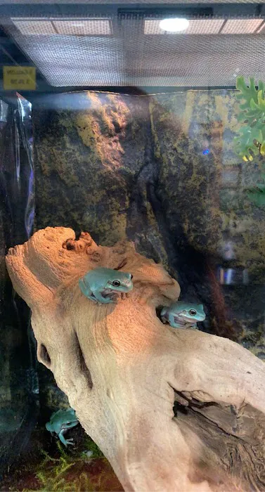 Cold Blooded Exotics Picture 9