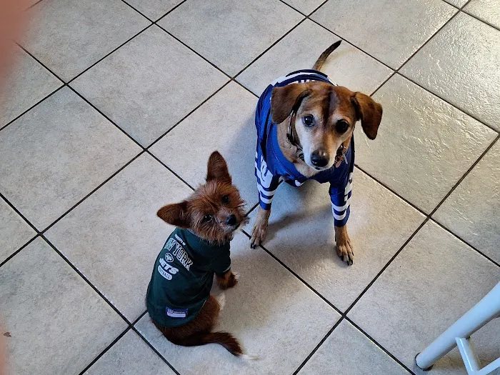 Grady Animal Hospital Picture 1