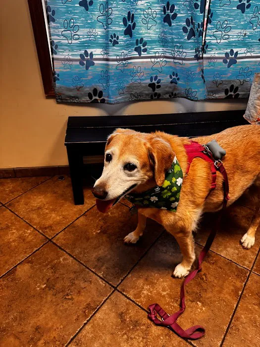 Grady Animal Hospital Picture 4