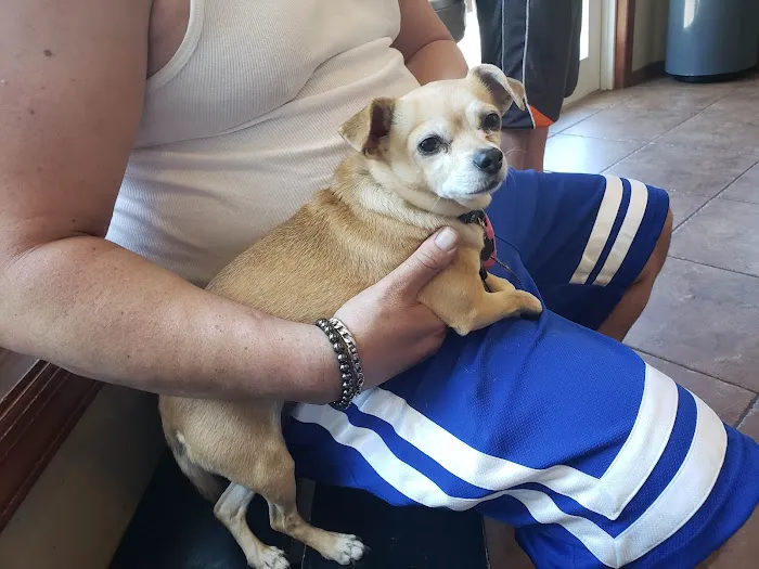 Grady Animal Hospital Picture 9