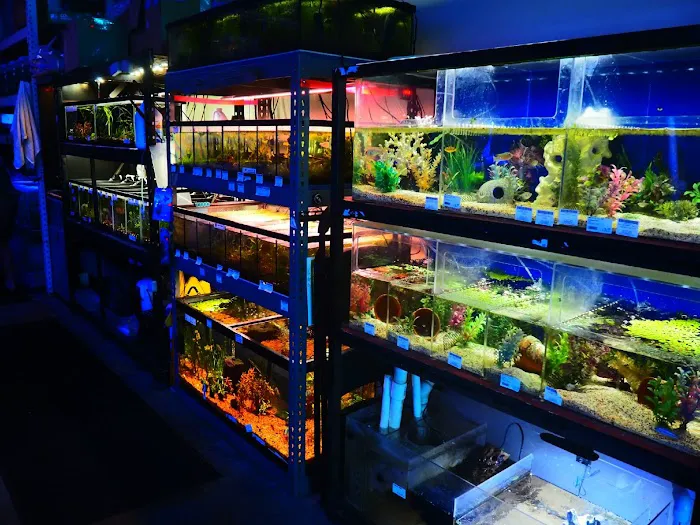 Shark Reef Picture 2