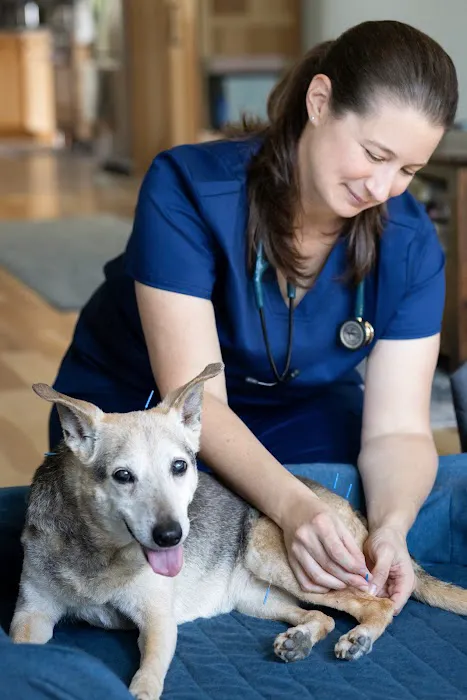 Cozy Care Mobile Veterinary Services Picture 3
