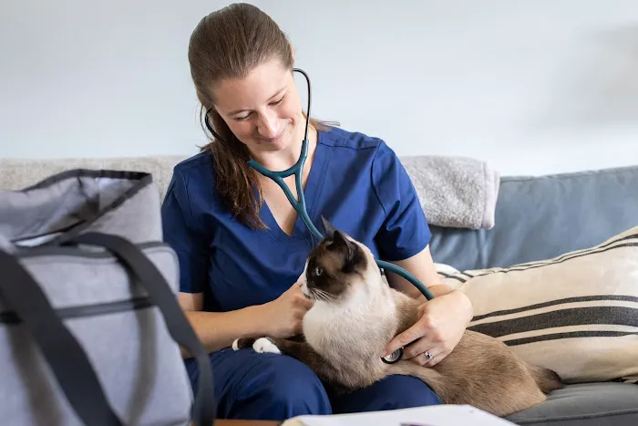 Cozy Care Mobile Veterinary Services Picture 2