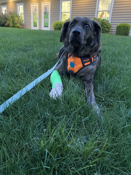 Pet ER Picture 1